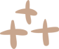 icono